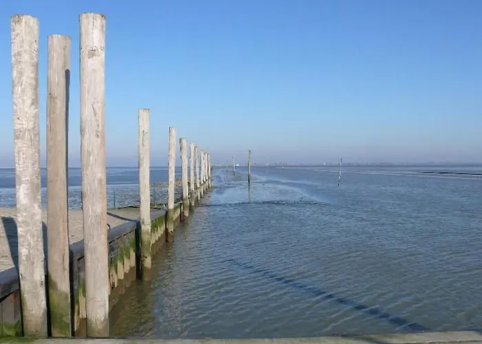 Apartament Dellarte By Interhome